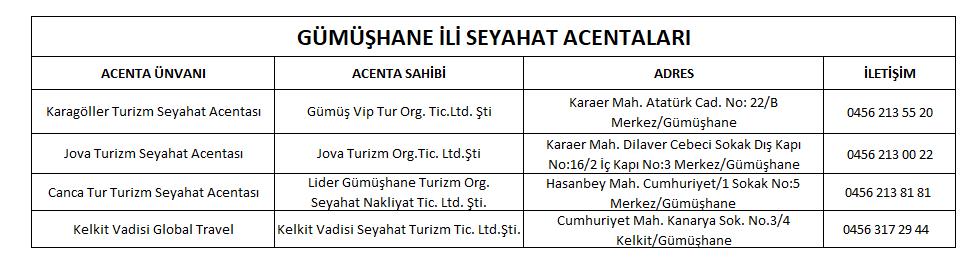 Seyahat Acentaları.png